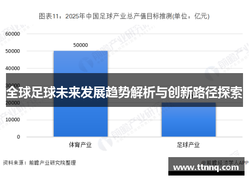 全球足球未来发展趋势解析与创新路径探索