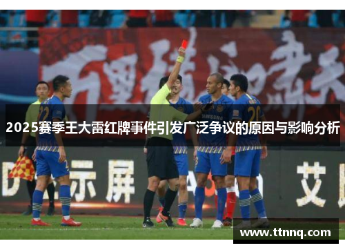 2025赛季王大雷红牌事件引发广泛争议的原因与影响分析