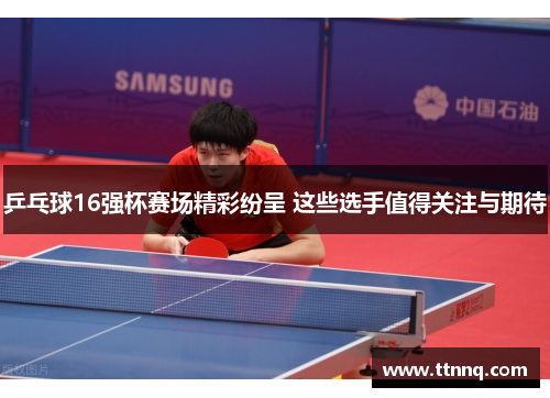 乒乓球16强杯赛场精彩纷呈 这些选手值得关注与期待