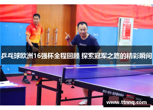 乒乓球欧洲16强杯全程回顾 探索冠军之路的精彩瞬间