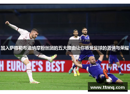 加入萨格勒布迪纳摩粉丝团的五大理由让你感受足球的激情与荣耀