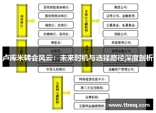 卢库米转会风云：未来时机与选择路径深度剖析