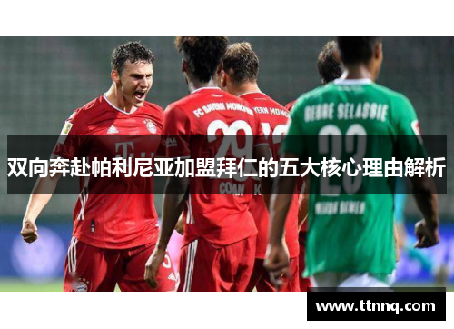 双向奔赴帕利尼亚加盟拜仁的五大核心理由解析