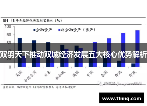 双羽天下推动双城经济发展五大核心优势解析