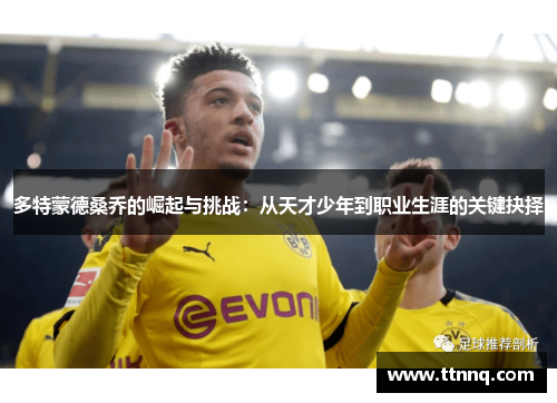 多特蒙德桑乔的崛起与挑战：从天才少年到职业生涯的关键抉择